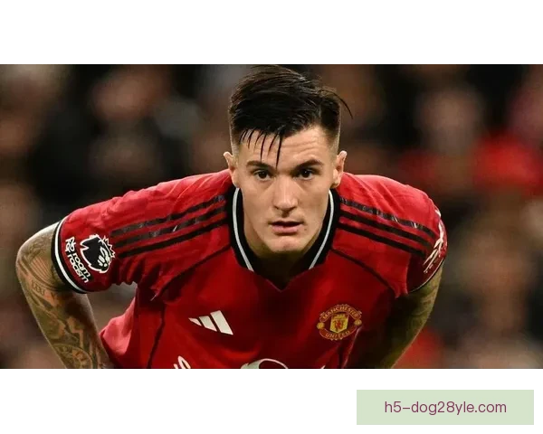 谢林汉姆称基恩因被曼联忽视 谢林汉姆称基恩因被曼联忽视